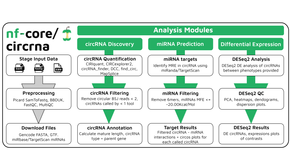 nf-core/circrna workflow
